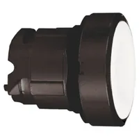 Schneider Electric ZB4BH017