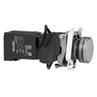 Schneider Electric XB5AV5B1
