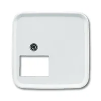 Busch-Jaeger 2548-214-52 C