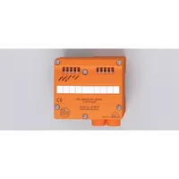 Ifm Electronic UniversalModule 2AI(V) IP65