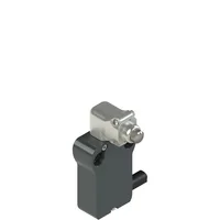 Pizzato NB B110AB-DN2W5