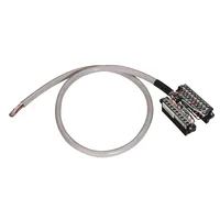 Allen Bradley 1492-CAB050B62