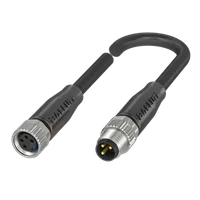 Balluff BCC M314-M313-30-300-PX0334-100
