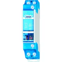 Eltako R12-200-12V DC