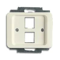 Busch-Jaeger 2561-02-22G