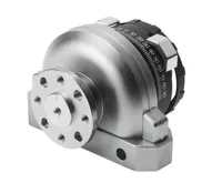 Festo DSRL-25-180-P-FW