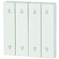 Eaton Electric CWIZ-04/21
