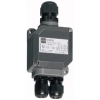 Stahl Schaltgeräte 8102/21-32-C1013