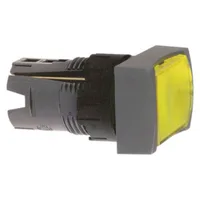 Schneider Electric ZB6DF5
