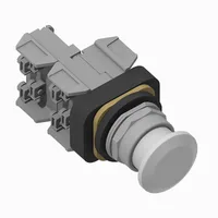 Allen Bradley 800T-FXQ24WG1