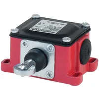 Bernstein D-U1 RW