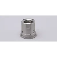 Ifm Electronic ADAPT G1/2-SMS DN25