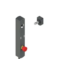 Pizzato NS D4AZ1SRK-F41N110