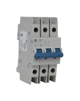 Allen Bradley 1489-M3C130