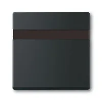 Busch-Jaeger 6815-885
