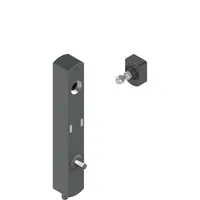 Pizzato NS D4AZ1SRK-F41N112