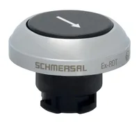 Schmersal EX-RDTSW/101D