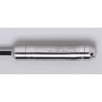 Ifm Electronic SUBMERSIBLE 0,6BAR 10M FEP CABLE 1G/1D