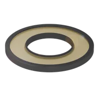 Balluff BAM OF-VS-001-P-RX100