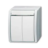 Busch-Jaeger 2621 WN-54-205-101