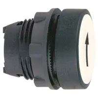 Schneider Electric ZB5AA334