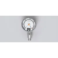 Ifm Electronic PG-250-REB12-MFRKG/US/      /P