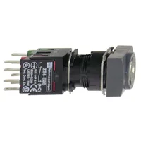 Schneider Electric XB6DGC5B