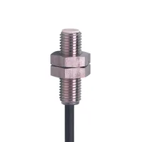 IFM IEB3002BBPKG/V4A/2M