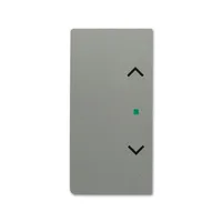Busch-Jaeger 6232-20-803