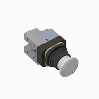 Allen Bradley 800H-FRXTPH16WD2Y