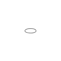 IFM O-RG 16,40x1,00/FFKM
