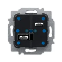 Busch-Jaeger 6213/2.1-WL