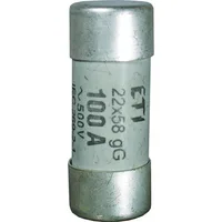 Eska 1460025 CH10 aR 25A 600V