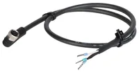Euchner C-M08F03-02X025PV25,0-ES-099998