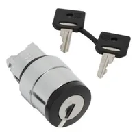 Schneider Electric ZB4BG114