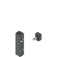 Pizzato NS D3AZ1SQK-F41