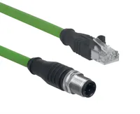 Schmersal AIE-S4P-M12/RJ45-S-G-20M-GN-2-X-D-1