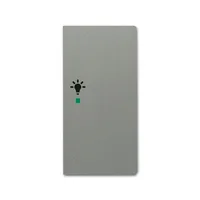 Busch-Jaeger 6231-22-803