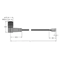 Turck WKC5Q-5/TXL