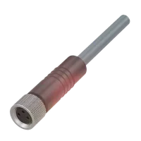 Balluff BCC W313-0000-10-001-SW0434-040