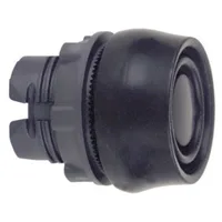 Schneider Electric ZB5AP2S