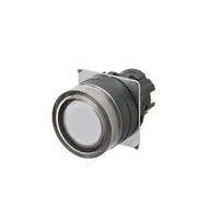 Omron A22NZ-BGM-TWA