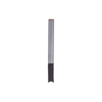 IFM IZB30,8-BPKG/V2A