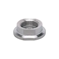 IFM ADAPT IFM-SUEDMO DN25