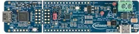 Infineon CY7110