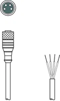 Leuze K-D M8A-4P-5m-PVC