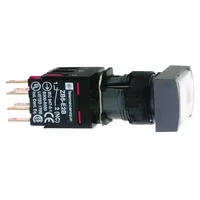 Schneider Electric XB6DF1B5B