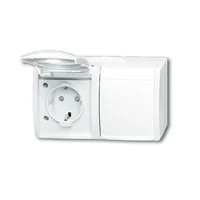 Busch-Jaeger 20/2 EBW-54