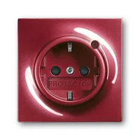 Busch-Jaeger 2310EUGL/VA-777-11