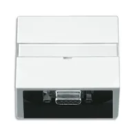 Busch-Jaeger 6123-84